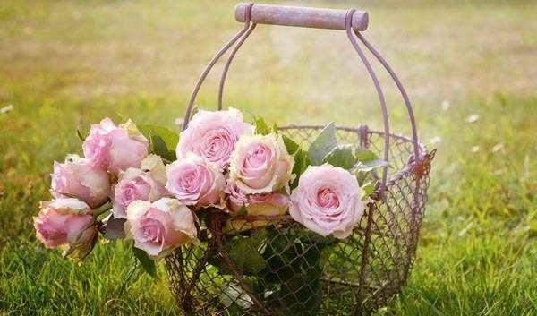 roses in basket