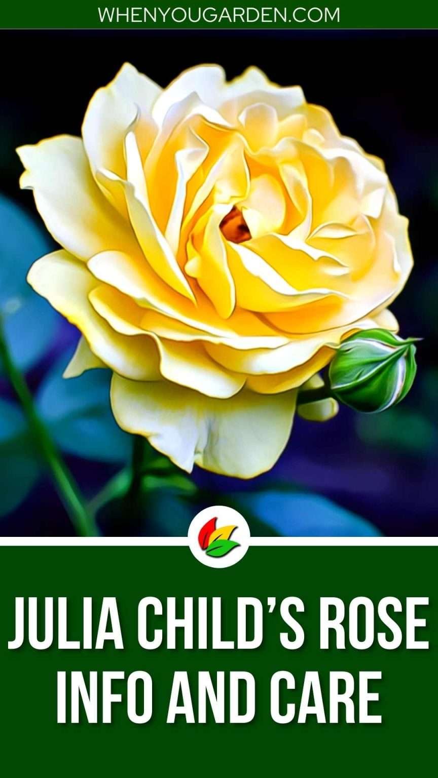 Julia Childs Rose Info 864x1536 