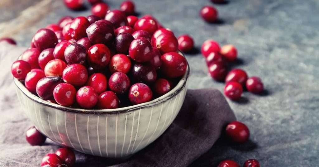 Grow Cranberries in Containers