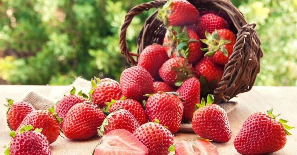 Grow Strawberries in Containers
