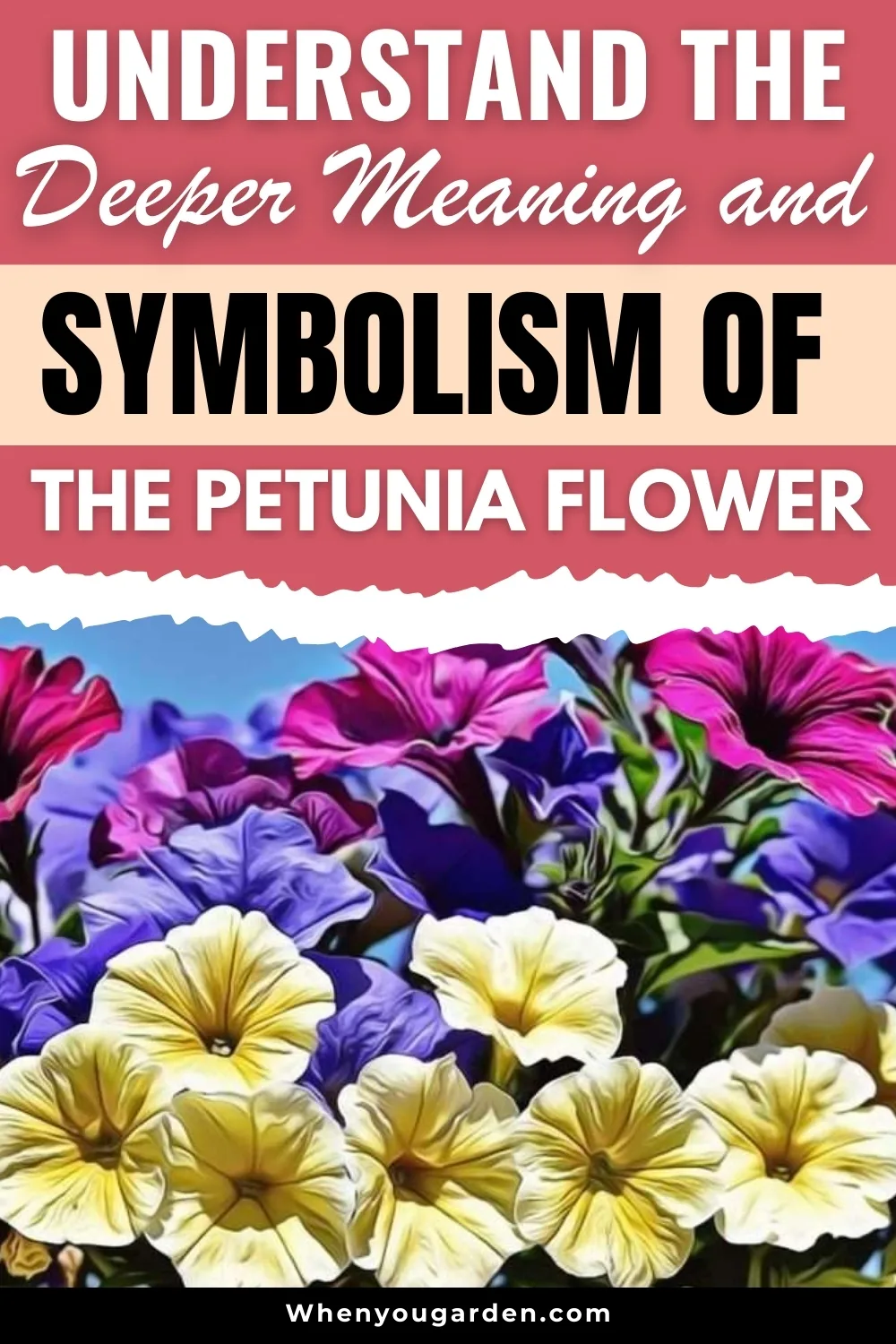 Petunia Flower Meaning